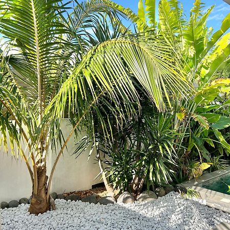 Le Yucca 974 By J&V Villa Saint Pierre Bagian luar foto