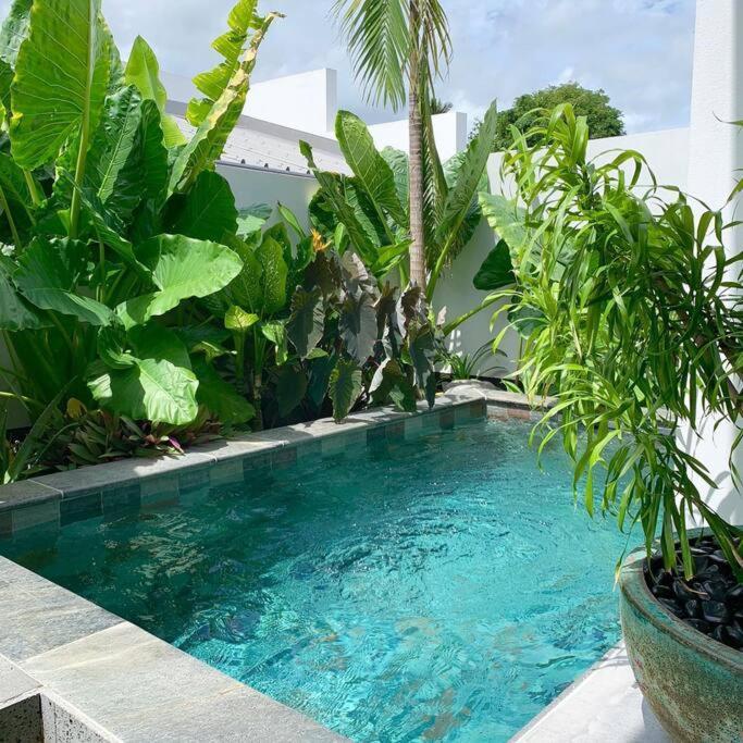 Le Yucca 974 By J&V Villa Saint Pierre Bagian luar foto