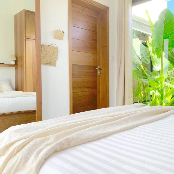 Le Yucca 974 By J&V Villa Saint Pierre Bagian luar foto