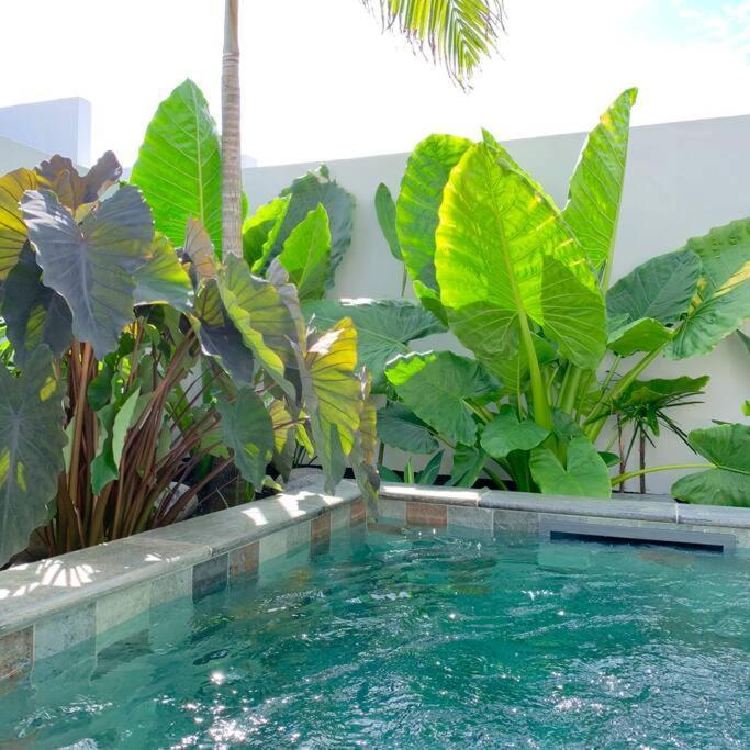 Le Yucca 974 By J&V Villa Saint Pierre Bagian luar foto