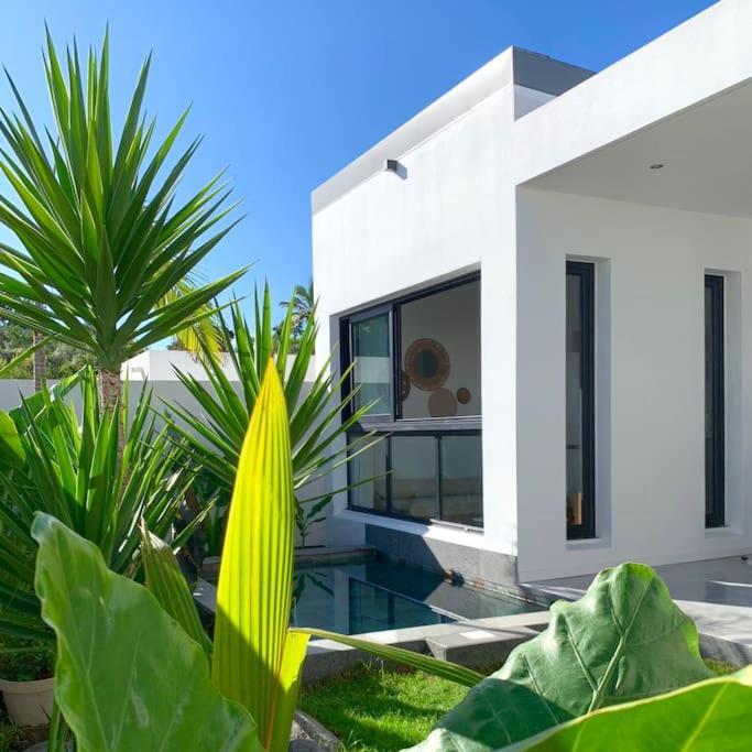 Le Yucca 974 By J&V Villa Saint Pierre Bagian luar foto