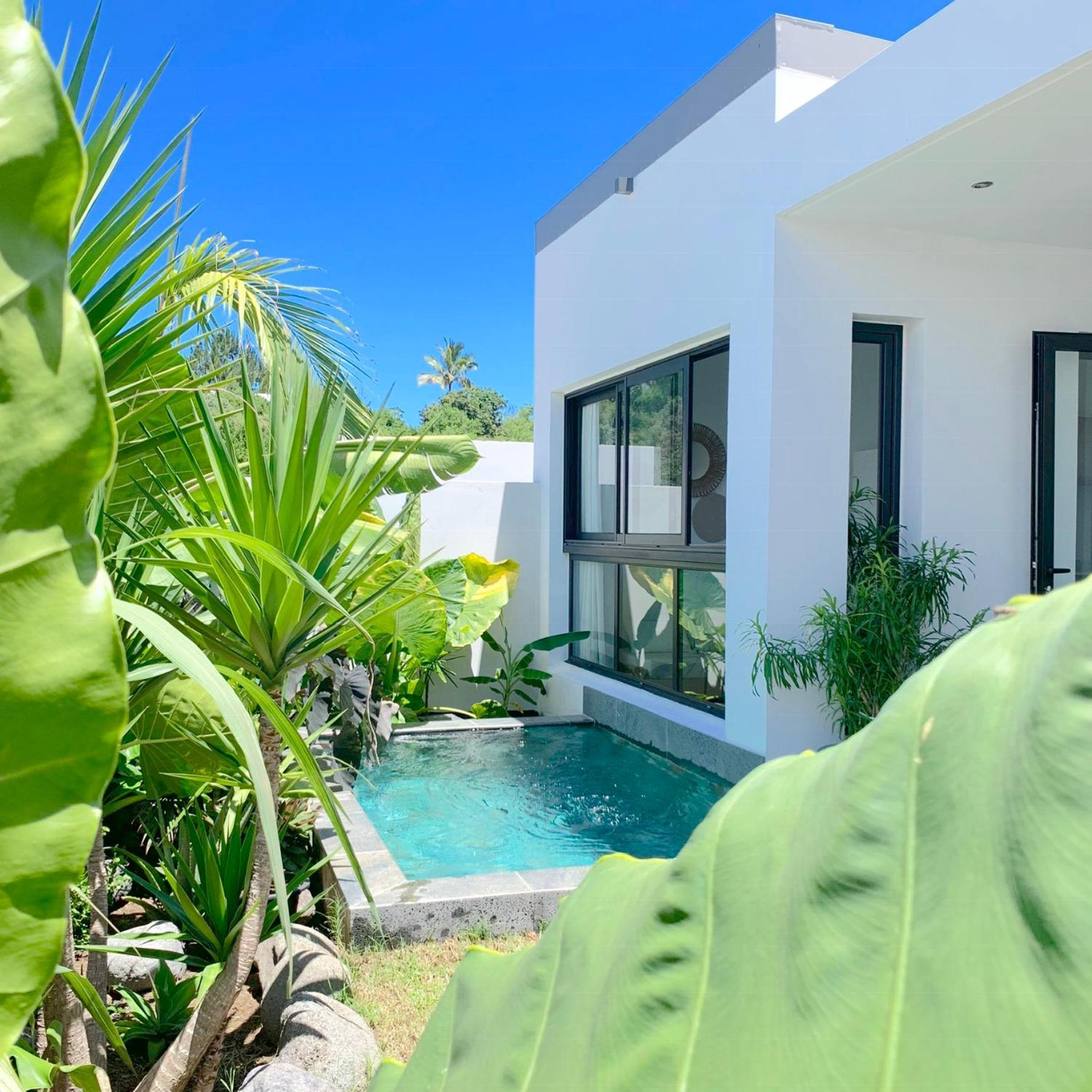 Le Yucca 974 By J&V Villa Saint Pierre Bagian luar foto