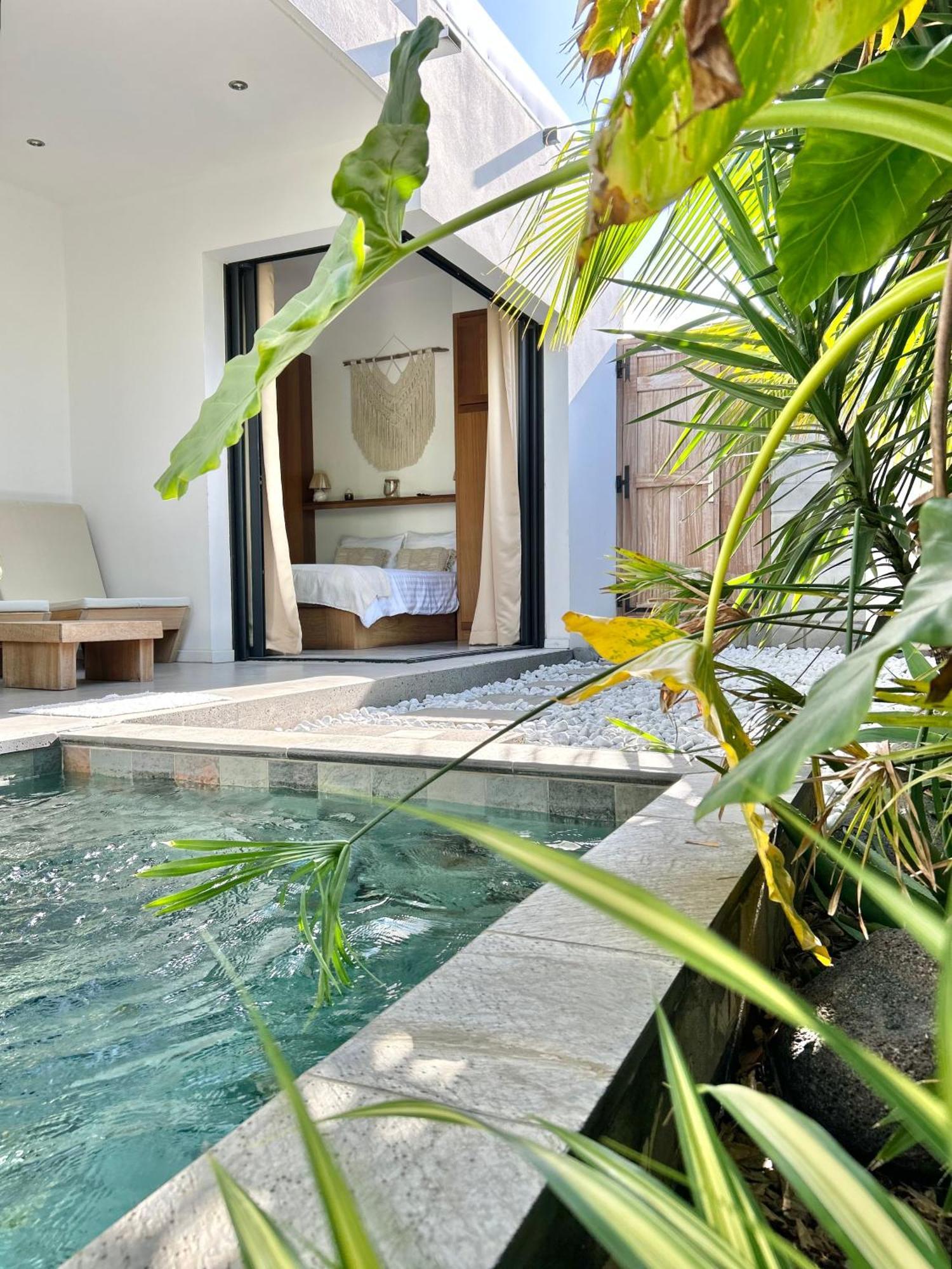 Le Yucca 974 By J&V Villa Saint Pierre Bagian luar foto