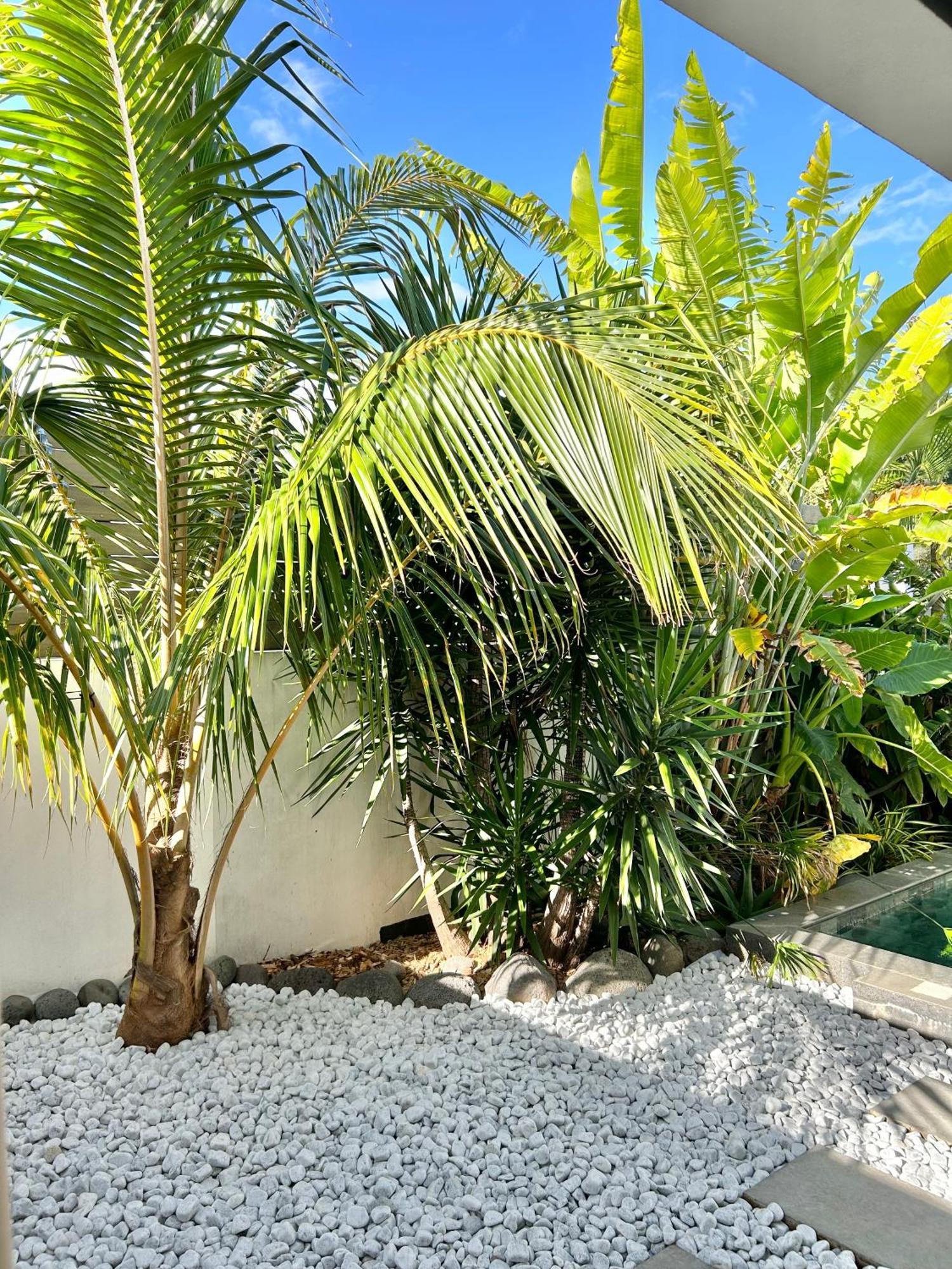Le Yucca 974 By J&V Villa Saint Pierre Bagian luar foto