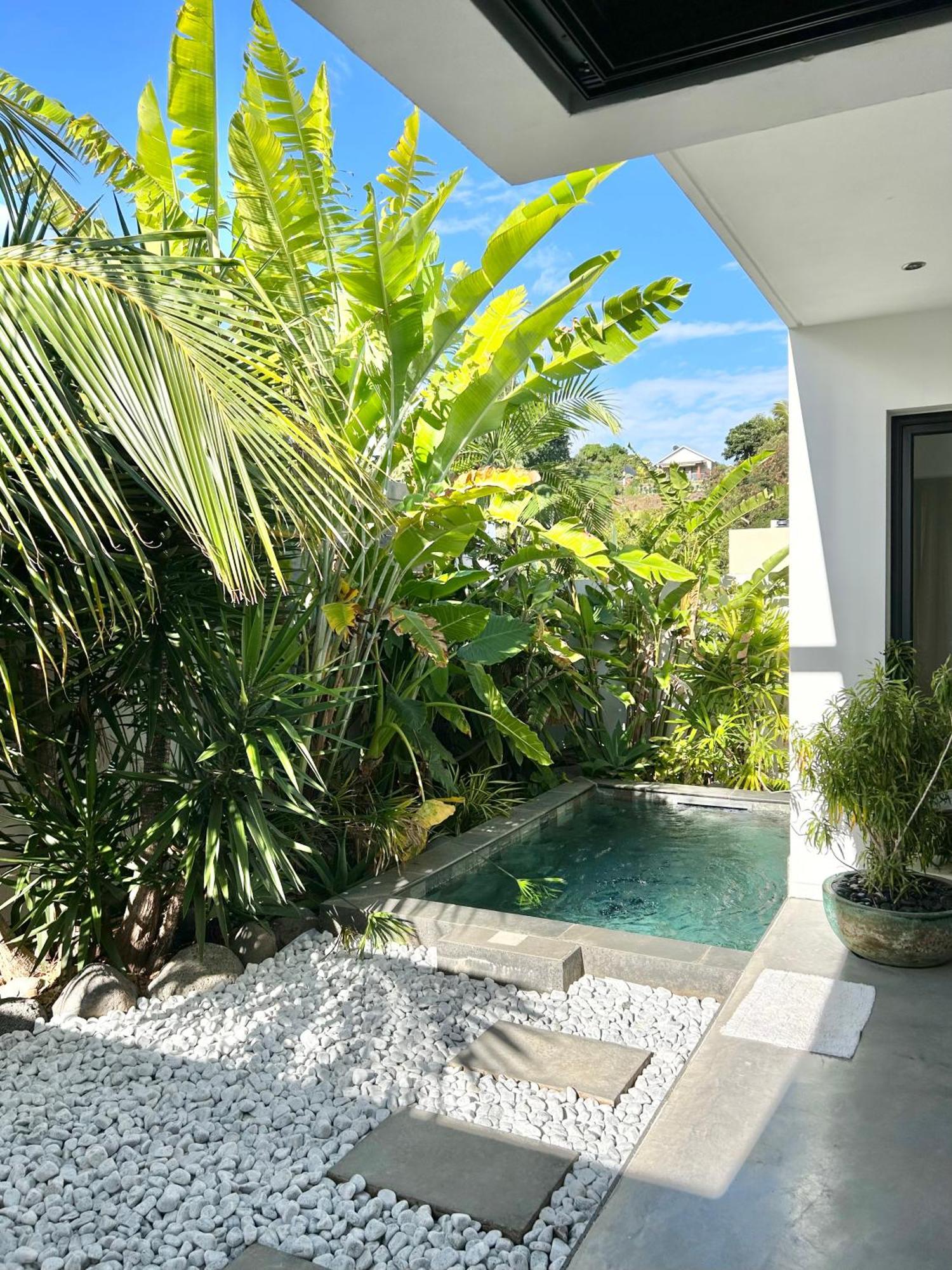 Le Yucca 974 By J&V Villa Saint Pierre Bagian luar foto