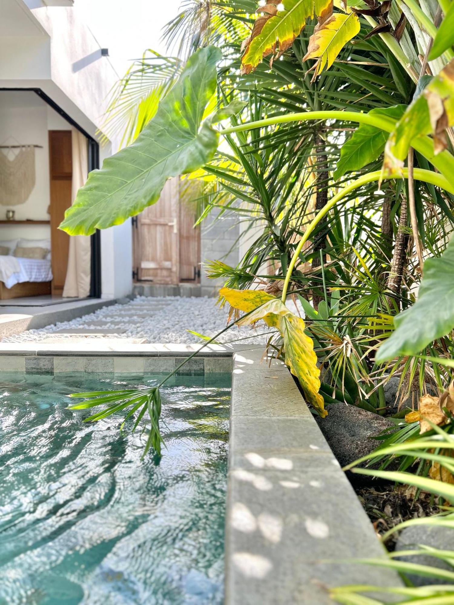 Le Yucca 974 By J&V Villa Saint Pierre Bagian luar foto